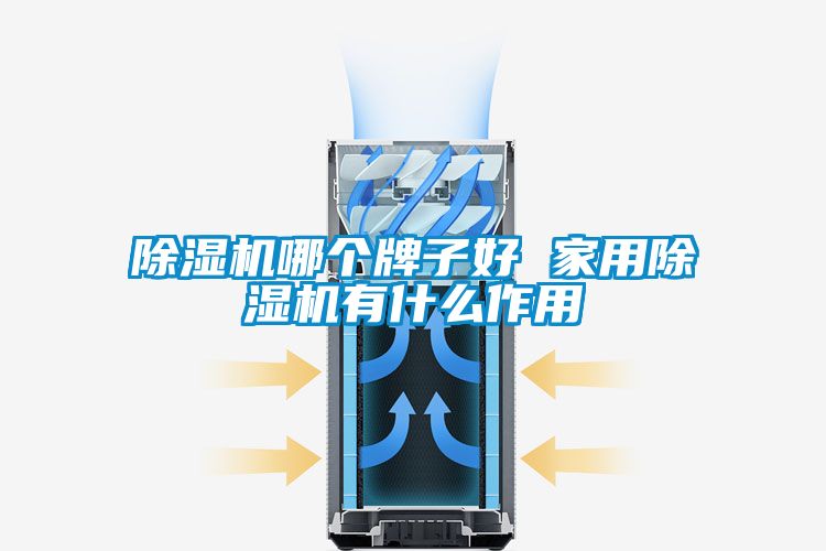 除濕機哪個牌子好 家用除濕機有什么作用