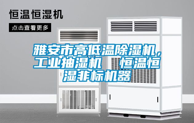 雅安市高低溫除濕機，工業(yè)抽濕機  恒溫恒濕非標(biāo)機器